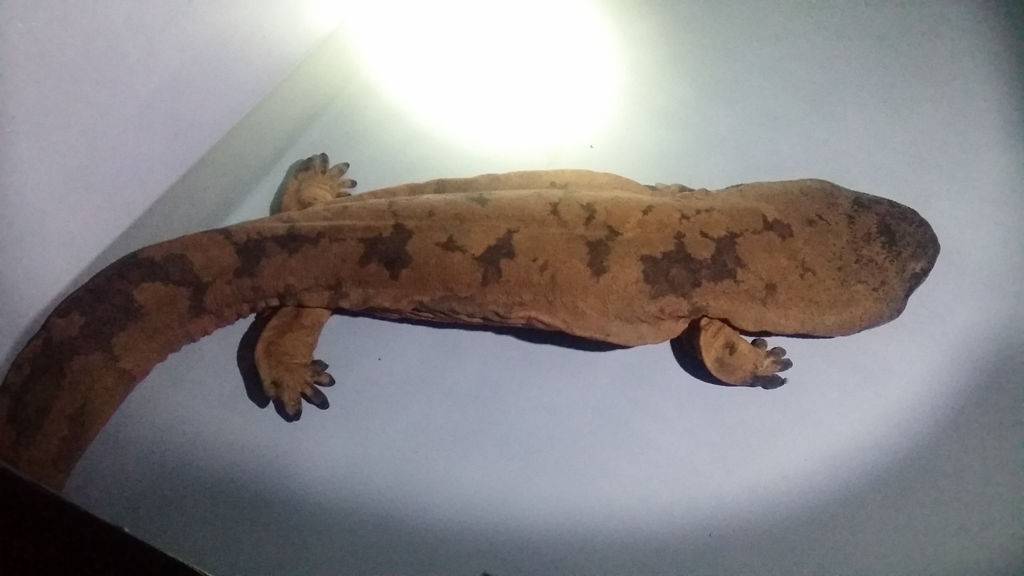 20150329_100321.jpg